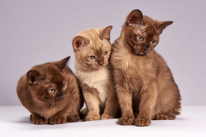 Die Unterkunft Steht Ab Sofort Nicht Mehr Zur Verfugung Appartment Is Finis 1 June - Thanks For All Your Andreas & 3 Cats Любек Экстерьер фото